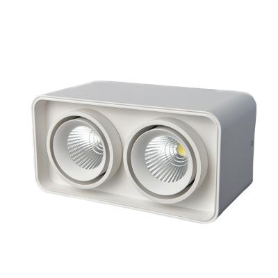 China Modern Wholesale Commercial Dimmable Spot Light Anti Glare Double Head Cob Led Downlight for sale