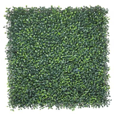 China Country 50*50cm UV Protection Boxwood Artificial Hedge Mat Panel Fence Screen Plastic Grass Green Wall for sale