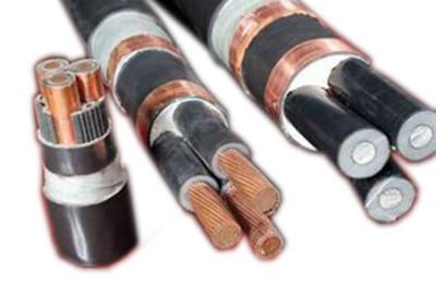 China PVC Insulated Shipboard Power Cable Special Cables 0.6/1kv CXF / CXV / CVV for sale