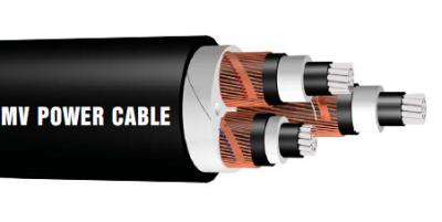 Chine cable électrique submersible isolé par XLPE du câble 6KV/10KV à haute tension à vendre