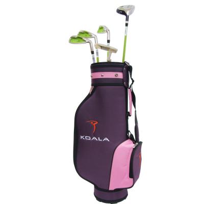 China Manufacturers Fashionable Full Brand Professional Golf Club Set With All-In-One Golf For Junior for sale