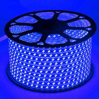 China LANDSCAPE cheap custom outdoor flexible smd waterproof LED light strip for sale