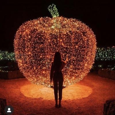 China Led Lights 1 2 3 m High Quality 5 String 10 20 LED Pumpkin Light Halloween Decoration Fairy Lights Lantern for sale