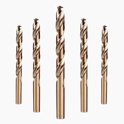 China Cheap CNC Machine Wholesale HSS M35 Leg Twist Exerciser Straight Bit With Cobalt for sale