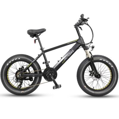 China Standard Fat Tire Electric Bike 48v 750w Motor 20AH Hidden Battery Bike 13AH US Warehouse For Adults for sale