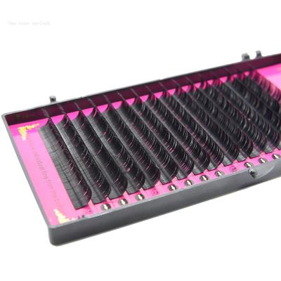 China Buy 16 Lines Natural Soft Volume Russian Mink Lashes Different Eyelash Extensions Near Me EL-YKJ-M0007 for sale