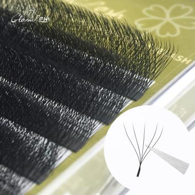 China GLAMLASH 0.07mm Natural Soft Eyelash Extensions Premade Fans Russian Volume 5D W Shape Lashes Clover Flower Handmade Premade Volume Fans for sale