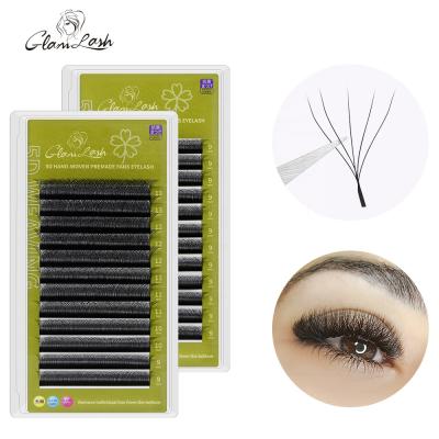 China GLAMLASH W Natural Soft Eyelash Extensions 5D W Lashes Individual Shape Lashes Clover Blossom Premade Volume Handmade Fans for sale