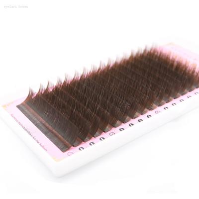 China Synthetic Hair 16 Rows Mink Lashes Colored Brown Eyelash Extensions High Quality Eyelash for sale