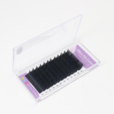 China GLAMLASH GLAMLASH Eyelash Extension Natural Cashmere Lashes Wholesale Mink Ellipse Flat Faux Eyelash Extensions for sale