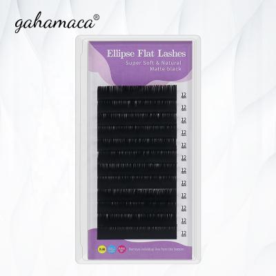 China Natural Soft Single Flat Ellipse Flat Eyelash Extension 0.20mm Flat Eyelash Extensions With Private Label for sale