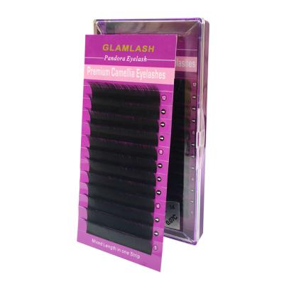 China New 12 Rows Volume Synthetic Hair Eyelash Extensions Material Camellia Lashes Private Label for sale