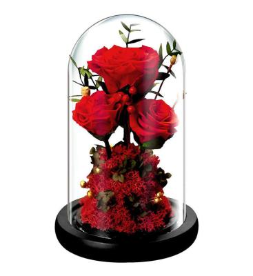 China Wholesale Natural Touch Plant Glass Cover Eternal Rose Immortal Preserved Flower With Box for sale