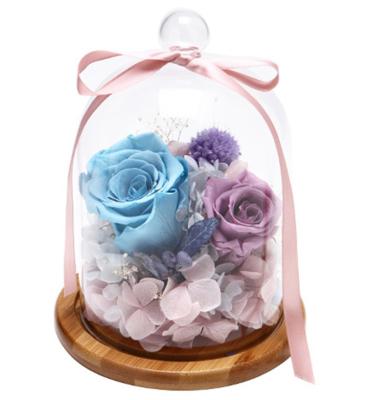 China High Quality Glass Dome Forever Touch Natural Hot Selling Eternal Eternal Rose for sale