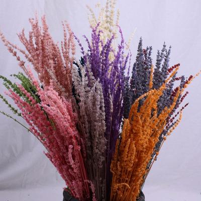 China Wedding Eternal Flower Wedding Decoration Events Gift Wholesale Natural Fresh Real Touch Forever Preserved Flower Lavender for sale