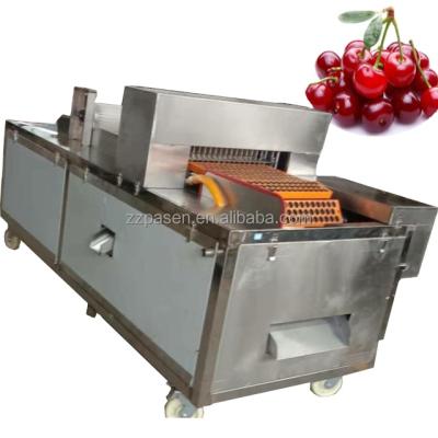 China Energy Saving Machine Professional Olive Cherry Pitting Machine Nuclear Pitting Cherry Removing Machine for sale