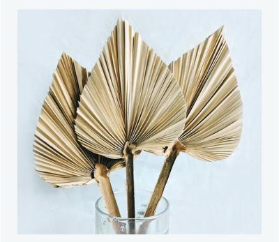 China Hot Selling Eco-friendly J-013/durable dried pressed palm leaves flower natural small size dry palm leaf for wedding home decoration for sale