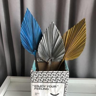 China Wedding Party Home Decoration N-012 Boho Wholesale Tropical Style Leaves Palm Spray Dry Color Dried Palm Leaves For Vase Home Wedding Decoration for sale