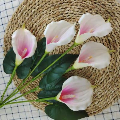 China Wedding Wholesale Home Decoration N-107 EVA Material Common Wall Lilies With 5 Flower Heads Calla Lilies Artificial Flowers For Wedding Vase Home Decor for sale