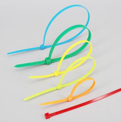 China DEMOELE Standard single loop nylon cable ties for sale