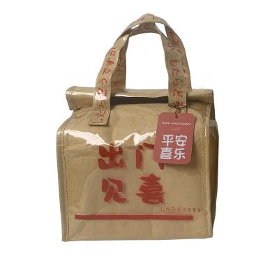 China Wholesale High Level PVC Appearance Lightweight Portable Outdoor Picnic Bag Large Capacity Insulation Bag Lunch Paper Packing for sale