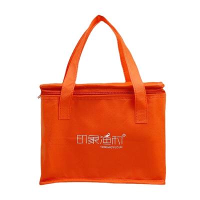 China Waterproof insulation bags non-woven fabric zipper ice bag portable cold storage bags logo printing waterproof production for sale