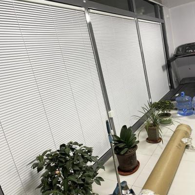 China High Quality Minimalist Meeting Room Office Blinds Office Window Curtain Blind For Window for sale