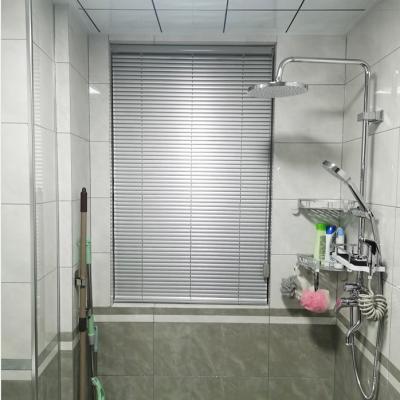 China Minimalist Beauty Is Generous Convenient Living Room Horizontal Blind Curtain for sale