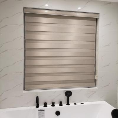 China Morden Day and Night Luxury Indoor Window Shade Double Layer Zebra Manual Blinds Shade Double Roller Blinds for sale