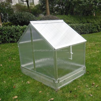 China Easily Assembled Hot Plant Mini Greenhouse Home Use for sale