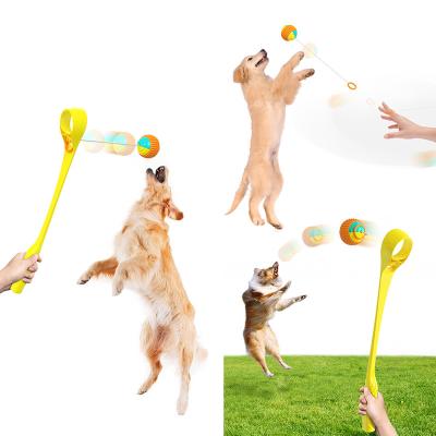 China Portable Cat Outdoor Pet Throwing Stick Pet Throwing Stick Training Pet Throwing Stick for sale