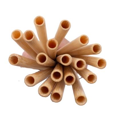 China Eco-Friendly Natural Bamboo Skin Wheat Straw Handle Toothbrush for sale