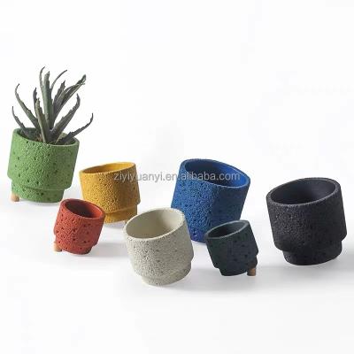 China Home natural cactus flower pot for indoor plant wholesale for rare cactus for sale