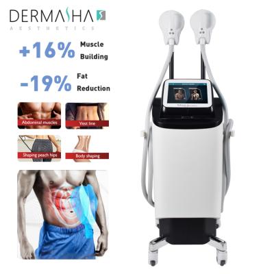 China Emslim Weight Loss Reducing Machine Body Fat Sculptor Anti-Cellulite Emslim EMS Build Muscle Teslasculpt Machine for sale