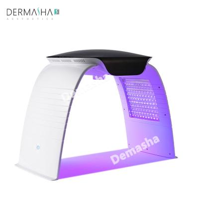 China Skin Tightening New Arrival Facial Moisture Beauty Skin Rejuvenation Professional Led Light Therapy Beauty Machine for sale