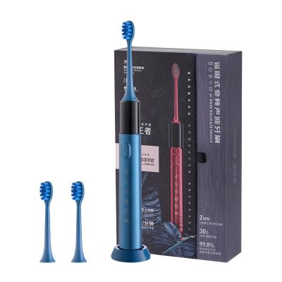 China Induction Charging Sonic Electricre Chargeble Wave Toothbrush Charging Dock Sound Wave BR-X5 Massage for sale