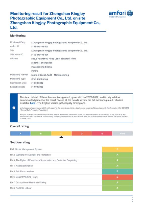 BSCI - Guangdong Kingjoy Technology Co., Ltd