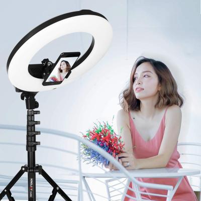 China AFI R219 PORTABLE Selfie Circular Power Bank Led Ring Light With Stativ Tripod Stand Cell Phone Holder For Makeup for sale