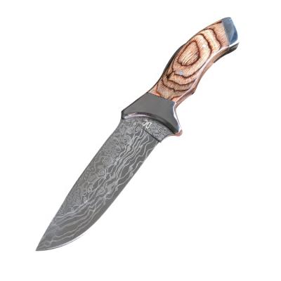 China Eco-Friendly Damascus Steel Hunting Knife With Pakkawood Handle for sale