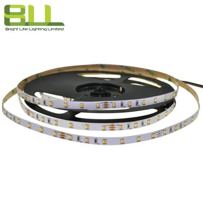 China Decorative Lighting High Brightness 24V 120LEDs CCT 3014 Adjustable Flexible Led Strip for sale