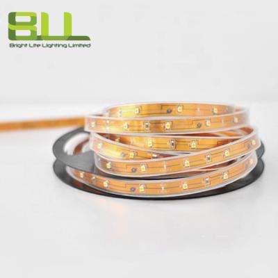 China Waterproof IP66 60led office 3014 warm white color led strip solar outdoor lighting for sale