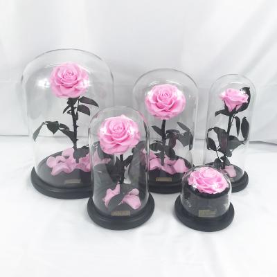 China Real Real Direct Wholesale Christmas From Junio ​​Handsome Valentine Beauty And The Beast Rose Preserved Rose Gift Sets For Women for sale