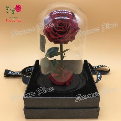 China 2020 Valentine's Day New Summer Valentine's Day Christmas Roses True Preserved Glass Dome With Box Perfect Valentines Gift for sale