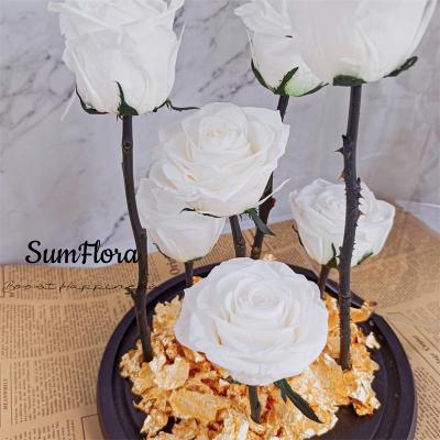 China Wedding Glass Wedding Flowers Rose Preserved Eternity Roses Stems 6-7cm Preserved Real Rose For Mothers Day Gifts for sale