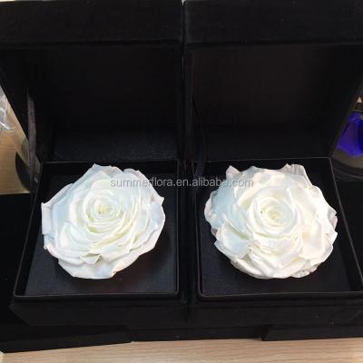 China Good Quality Good Quality Decoration Flowers 9-10cm Tall Preserved Roses Heads For Gift Box Velvet Box for sale