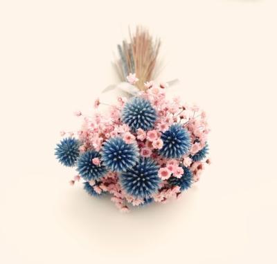 China Echinops de Flora Summer Flowers Pretty Preserved sphaerocephalus decoration decoration for home decoration for sale