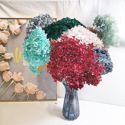 China Valentine's Day Gift Valentine's Day Gift Flora Latest Hot Selling Natural Summer Preserved Flowers Preserved Hydrangea For Bouquet for sale