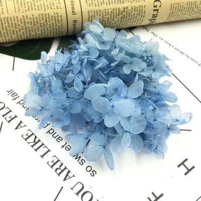 China Wedding Decoration Wedding Decoration Summer Flora Full Of Natural Flavor Artificial Hydrangea Preserved Flowers For Garden Decoration Wedding Flower for sale