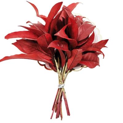 China Wedding Flora Wholesale Yunnan Natural Leaves Size Preserved Flower Fragrans Leaves Summer Flower Arrangements Wedding Flower Arrangements for sale