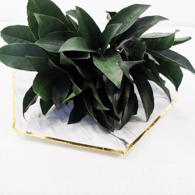 China Wedding Summer Flora Wedding Gift Delicate Green Wedding Flower Arrangements Flower Arrangements Three Sizes Leaves Preserved Flower Fragrans Leaves for sale